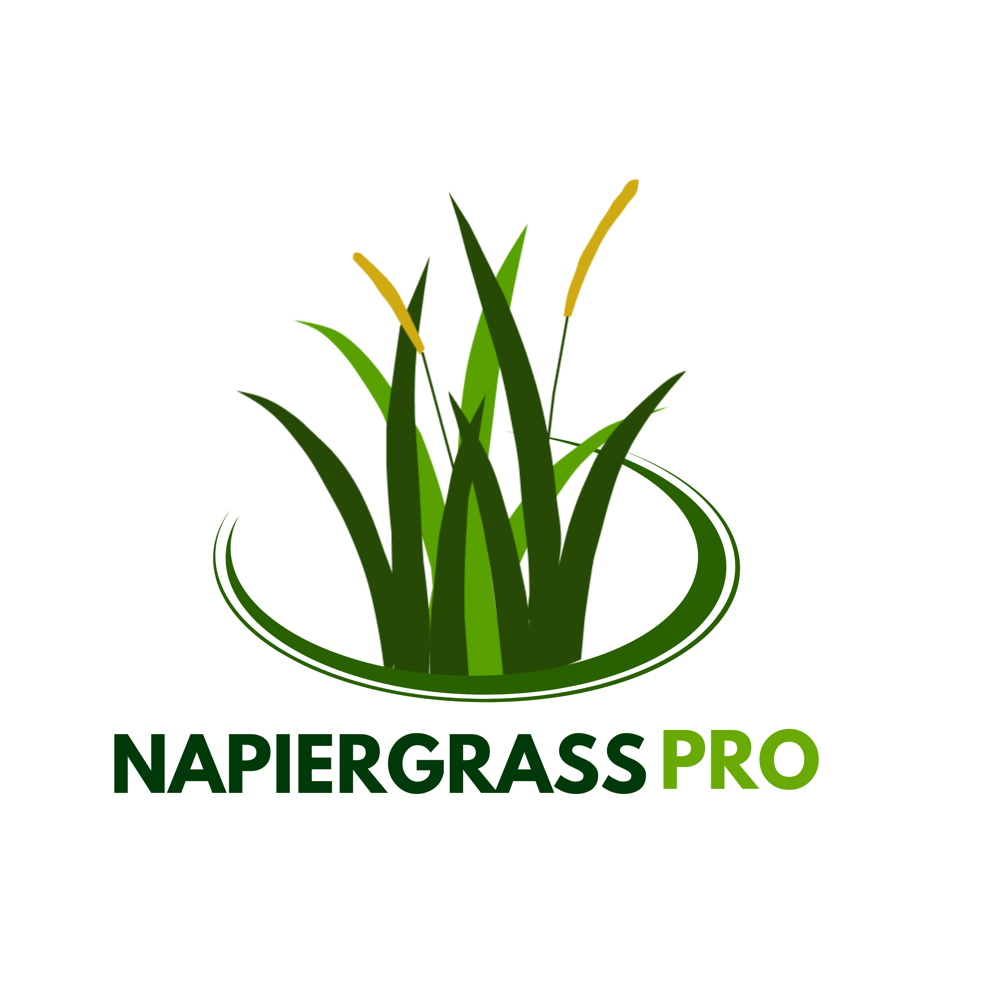 Napiergrass Pro Logo